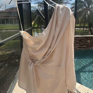 Dress Forum One-Shoulder Draped Satin Top in Blush